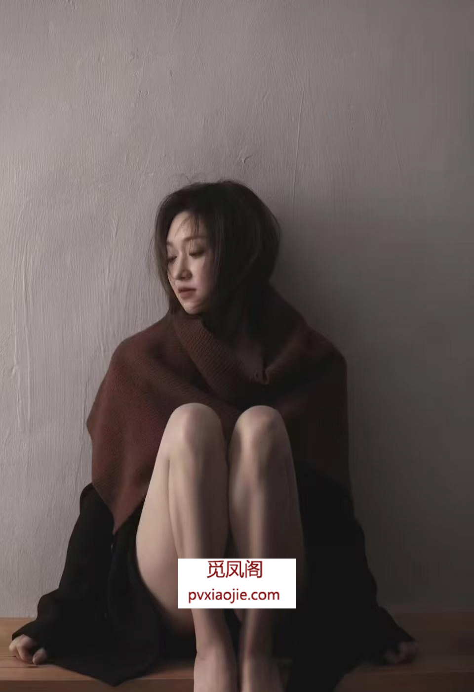 东江之星小狐狸