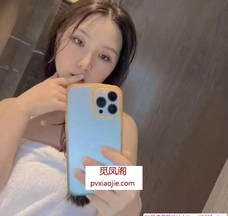 铁西小妲己