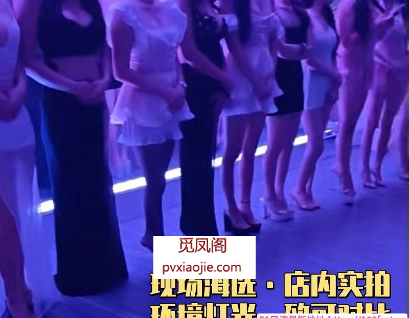 惠州大海选出勤40+