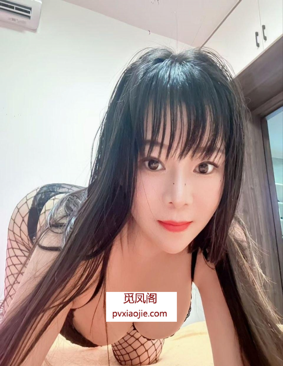 福州骚气玉兔