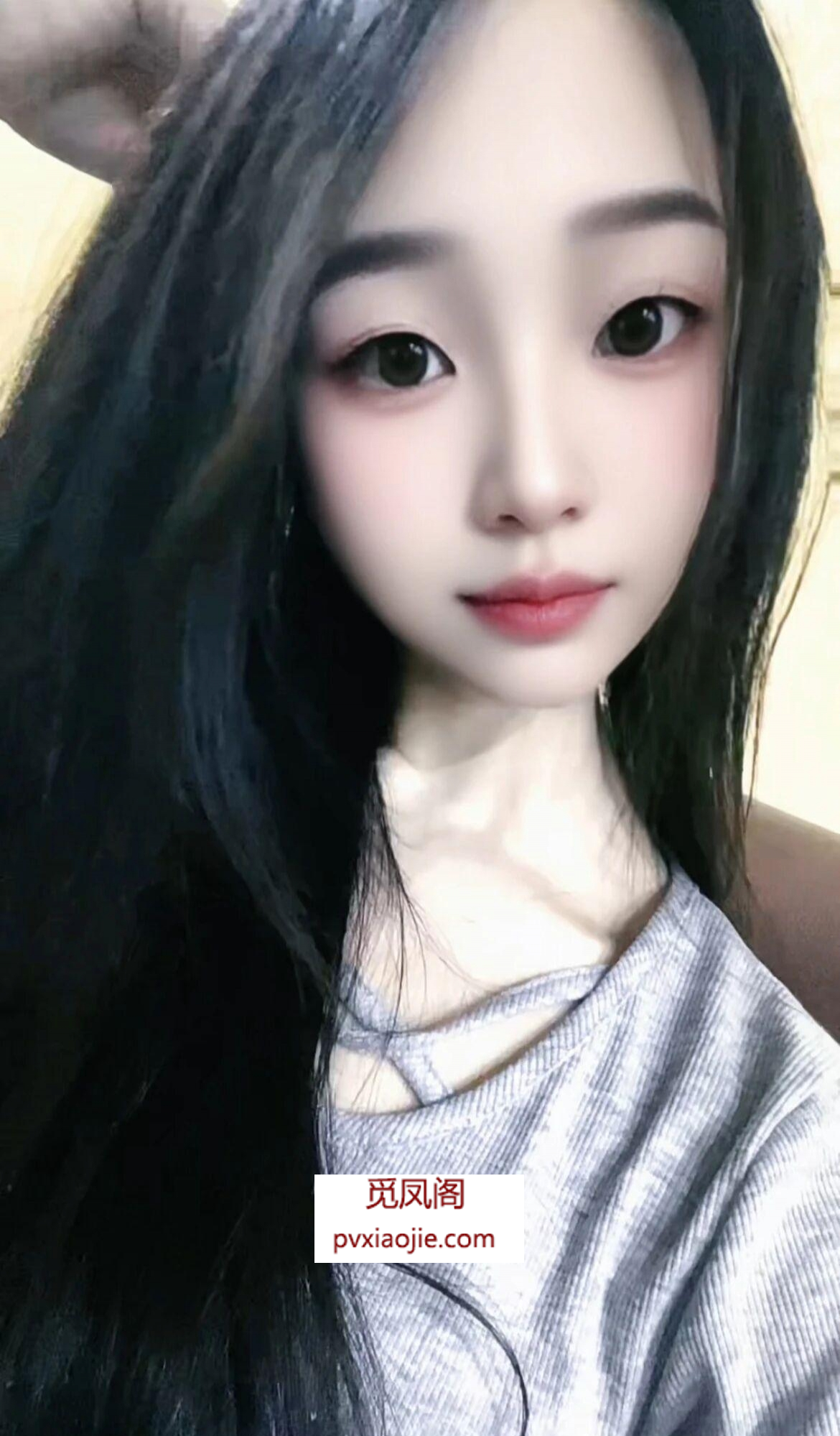 小店区金宝宝