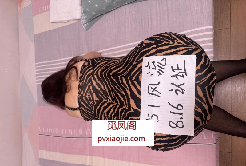性价比丝袜熟女