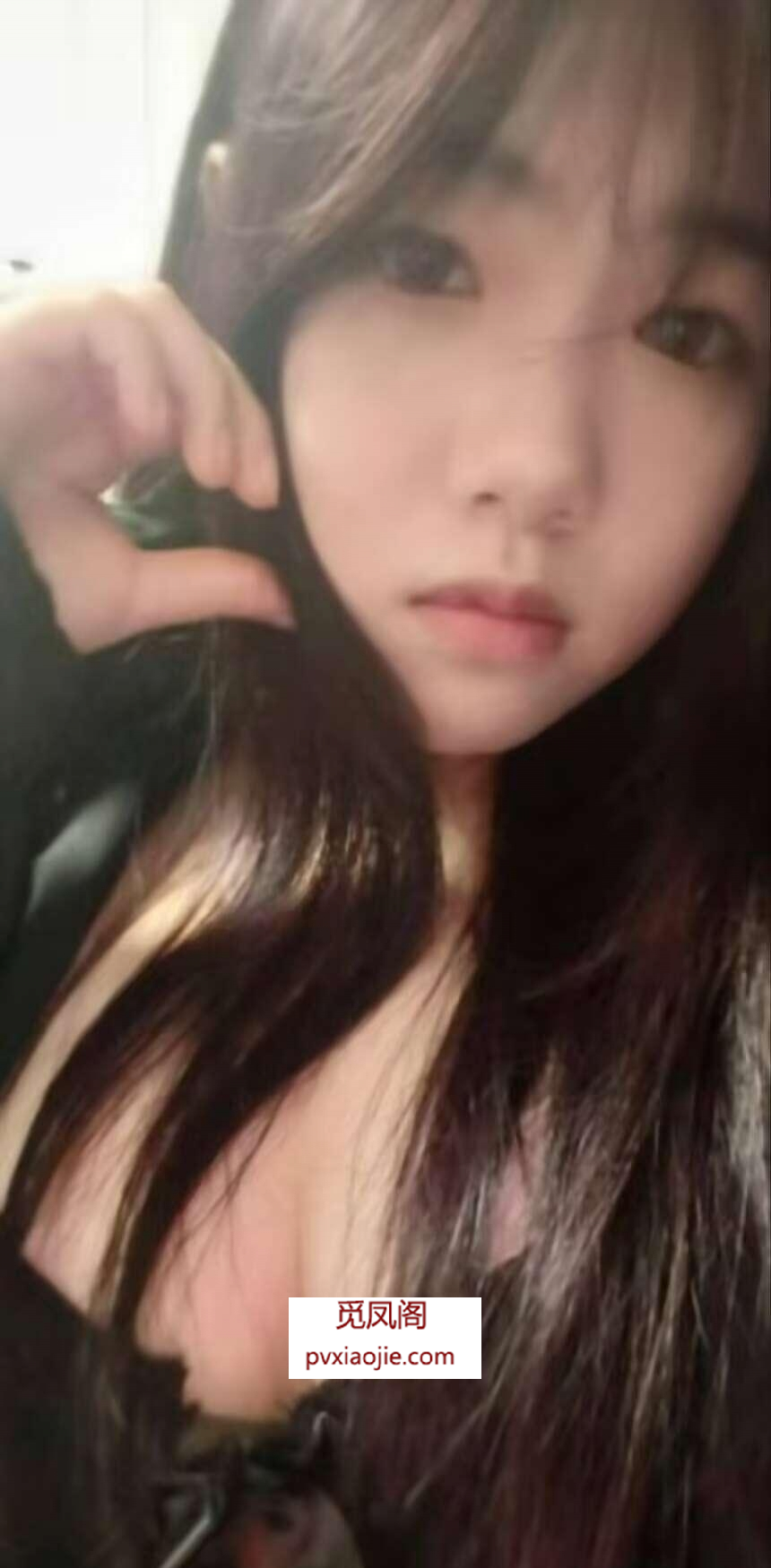 天津佳佳小美女