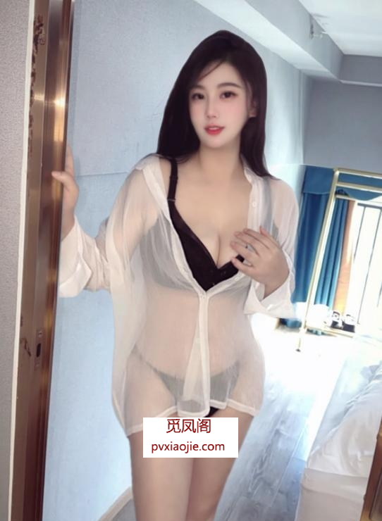 南城大熊叮叮