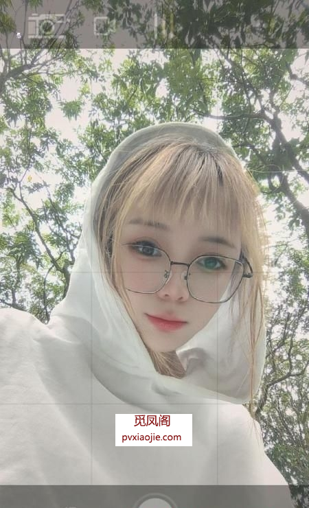 南山小伊