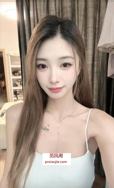 普陀小布丁