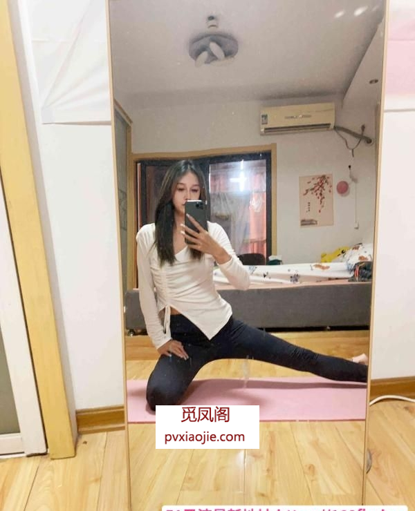 秦淮婷儿