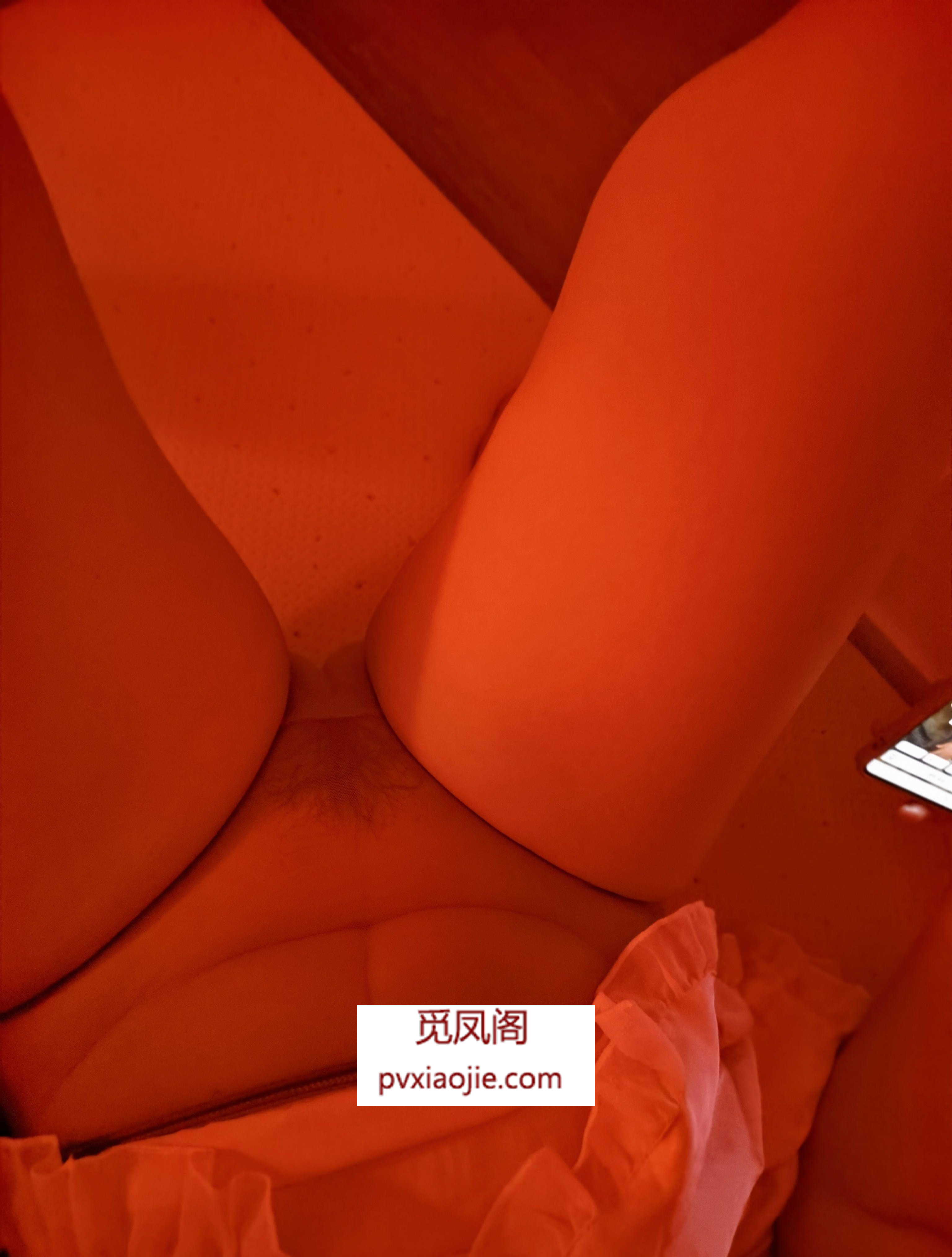 浦东新区 浦东服务系水多多知月